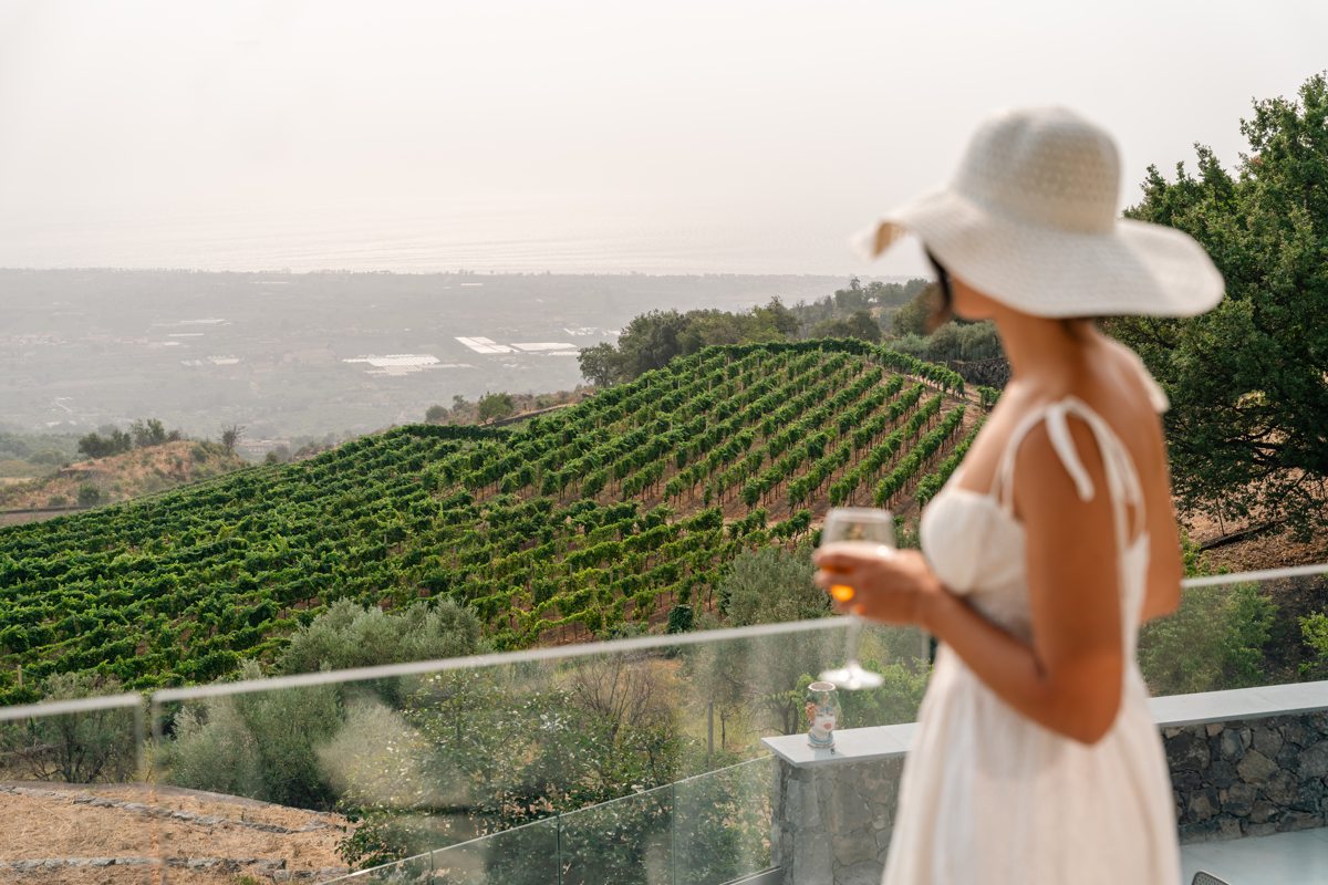 A glass of wine overlooking the vineyards and the sea