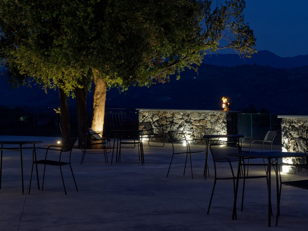 Outdoor tables and an illuminated olive tree as evening falls